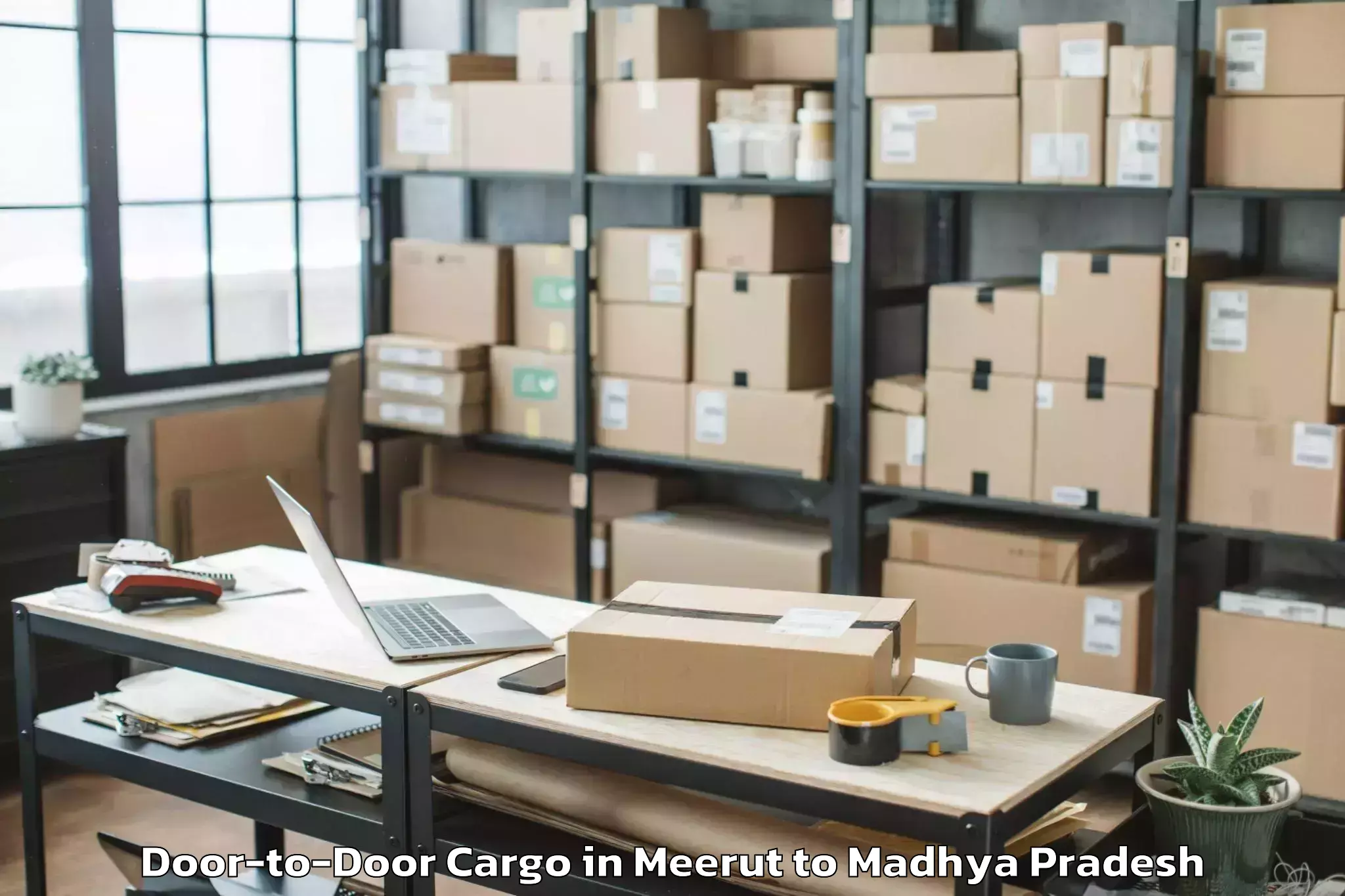 Leading Meerut to Nainpur Door To Door Cargo Provider